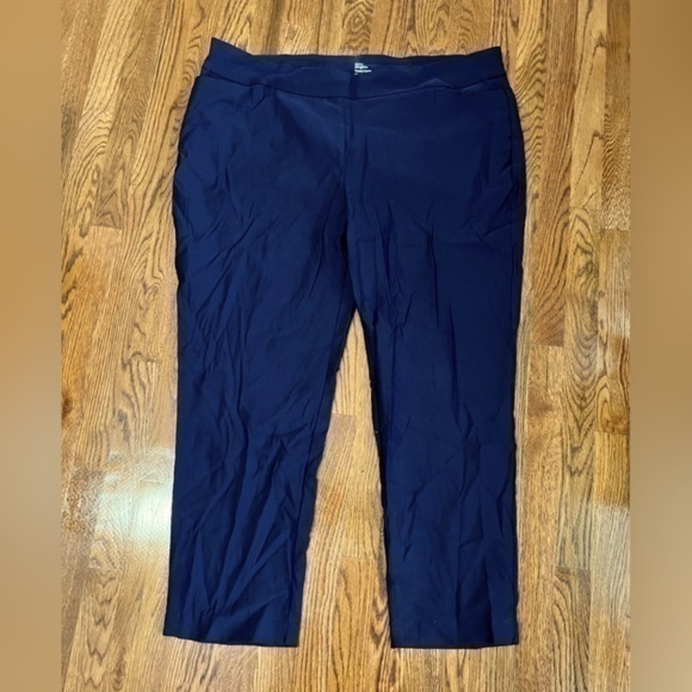Kim Rogers women’s pull on slacks. Blue great condition 24 short tummy control